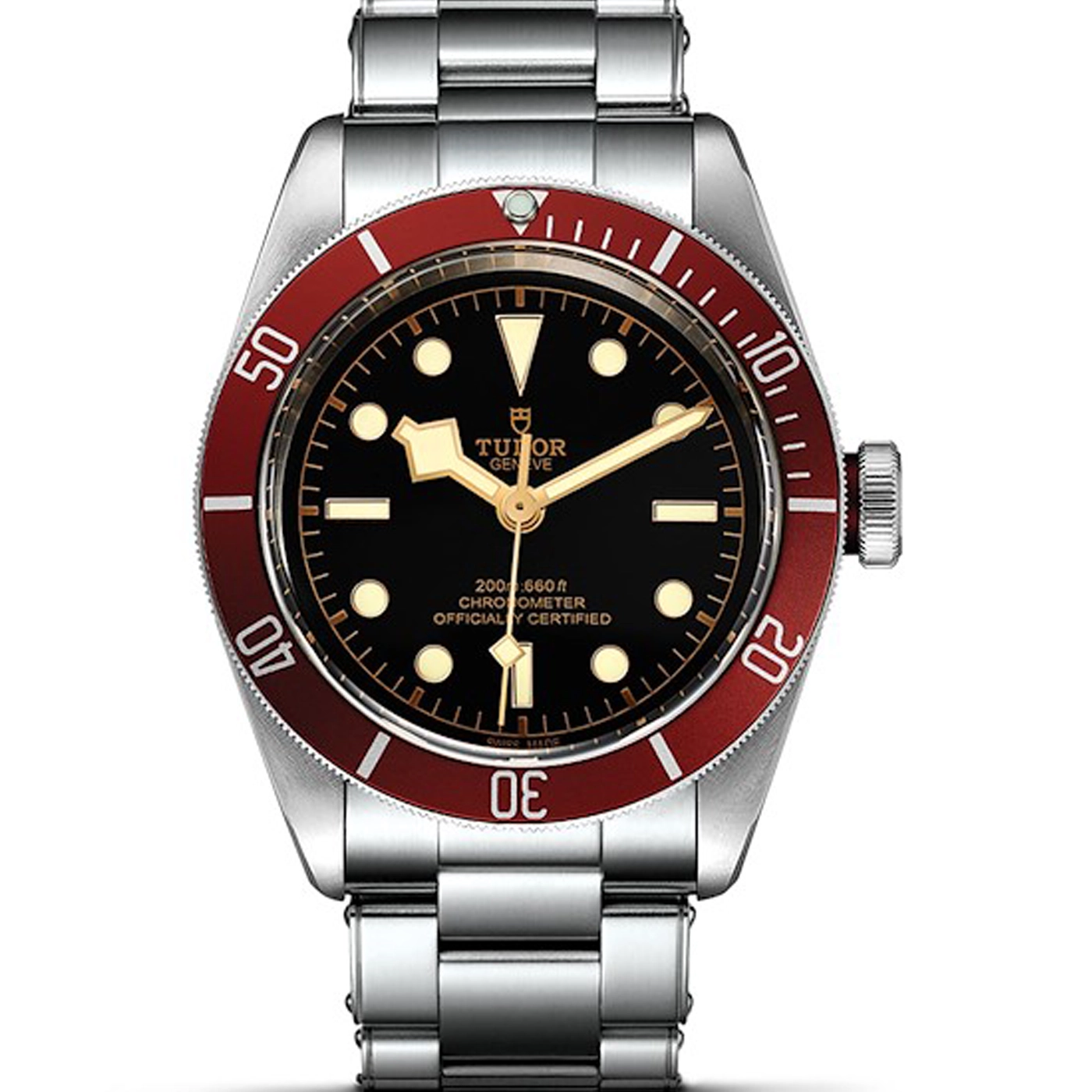 Tudor Black Bay